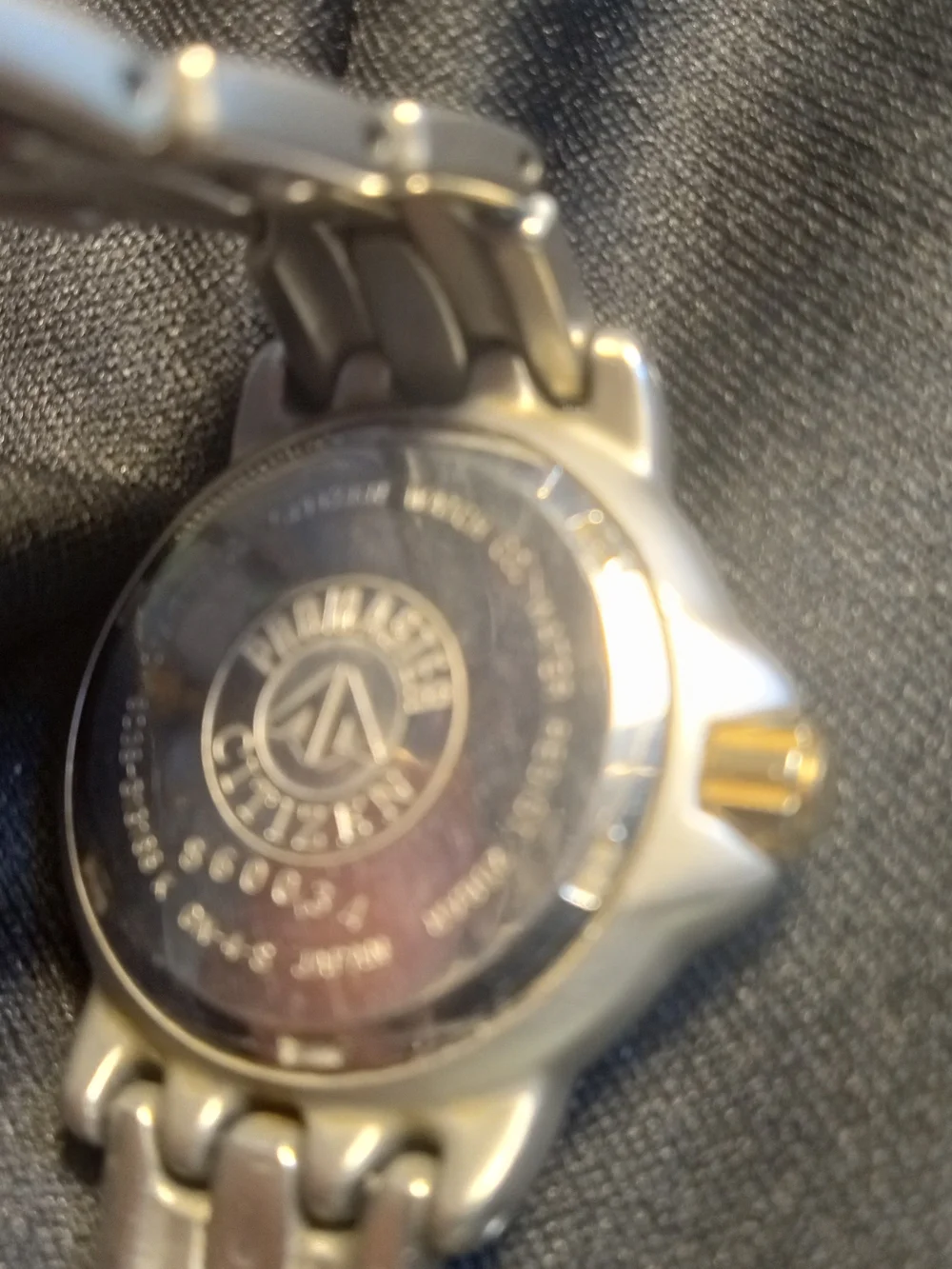 Citizens Pro Master Watch Vintage